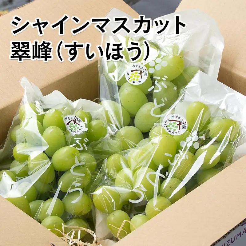 シャインマスカット入り 完熟ぶどうお任せ詰め合わせセット 1kg 【水間ぶどう園】先行予約＜16-3a＞