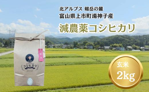 【令和7年産】減農薬 上市町湯神子産コシヒカリ（玄米）2kg　 [ソムリエH 富山県 上市町 32280233-r6-01] 　お米 コメ ご飯 ごはん 玄米ご飯 玄米ごはん こしひかり