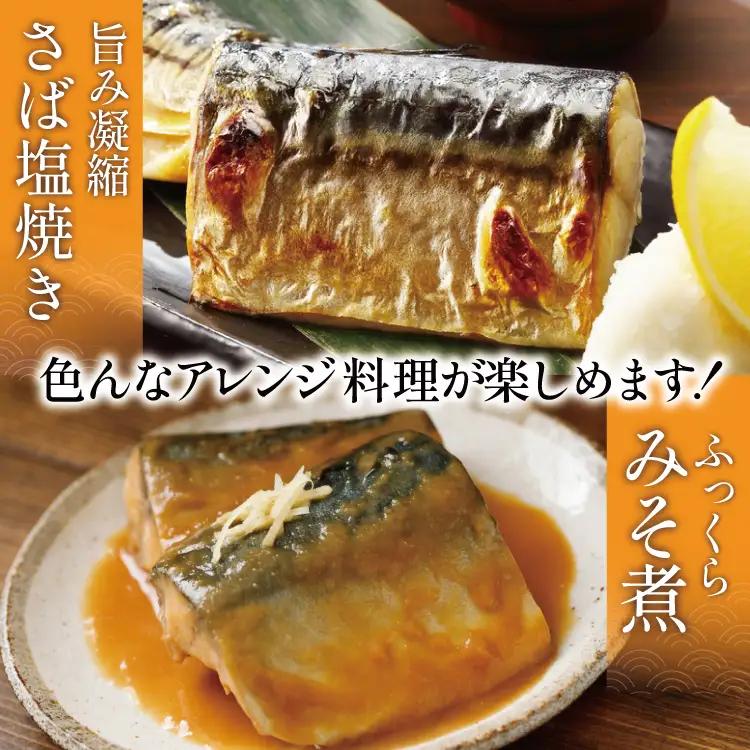 訳あり 塩サバ フィレ 1kg  魚介類 魚 海鮮 大容量 サバ さば 鯖 サバフィレ サバフィーレ 鯖フィレ 切り身 冷凍 訳アリ 訳あり わけあり トロサバ 減塩 とろさば