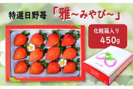 【先行予約】特選日野苺「雅（みやび）」（約450g）化粧箱　11月下旬~2月発送｜農家直送 いちご