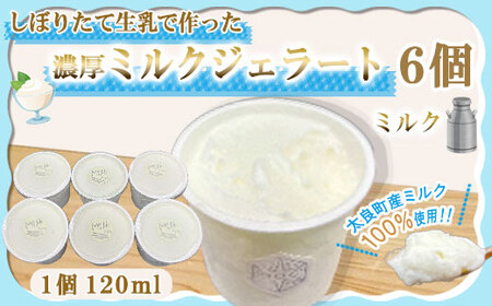 しぼりたて生乳で作った濃厚ミルクジェラート 6個セット ジェラート シャーべット アイスクリーム アイス 生乳 ミルク ジェラート クリーミー デザート 氷菓子 スイーツ 濃厚 冷凍 佐賀県 太良町 NA23