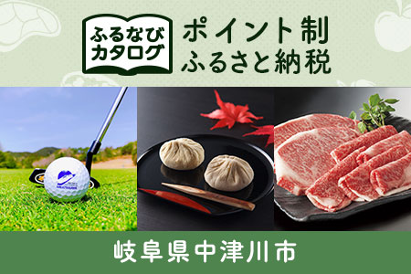 【有効期限なし！後からゆっくり特産品を選べる】岐阜県中津川市カタログポイント