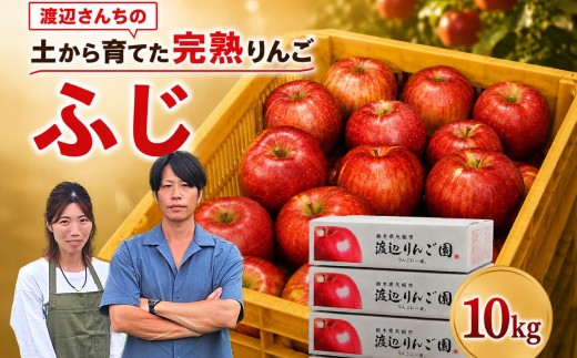 りんご 完熟 ふじ 10kg 箱｜【11月下旬より順次お届け】リンゴ 林檎 フルーツ 果物 栃木県矢板市産