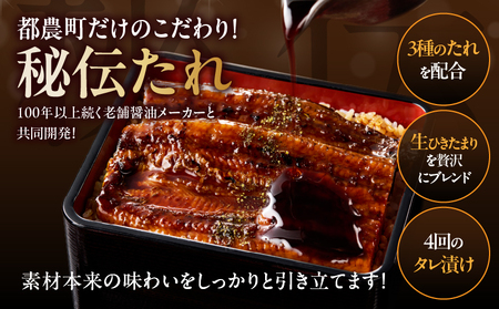 ≪定期便全3回≫4月・5月・6月お届け!!うなぎ蒲焼 超特大3尾 (総重量1.8kg以上) 鰻 魚 魚介 加工品 国産_T026-009