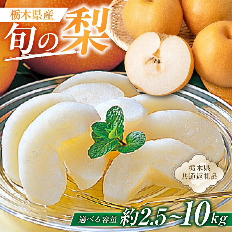 【ふるさと納税】 【選べる容量】栃木県産　旬の梨【栃木県共通返礼品】 栃木県 那須塩原市 梨 なし 品種 幸水 豊水 新高 にっこり 南国 フルーツ 果物 旬 送料無料