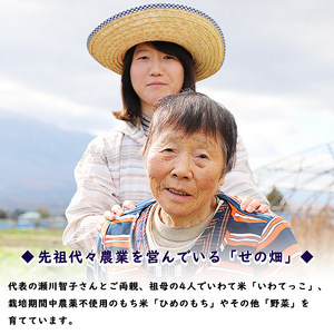 【2024年11月発送開始】 岩手県産 天日干しもち米 ひめのもち 精米 もち一升分（1.5kg） ／ 白米 餅 餅米 産地直送 農家直送 【せの畑】