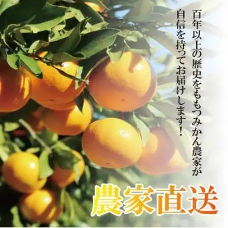【2027年1月順次発送!】100年以上続くみかん農家がつくる「みかん(大津4号)」約5kg【配送不可地域：離島】【1738393】