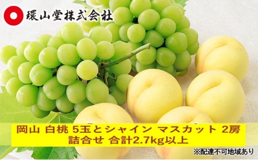 
                  [№5615-0983]桃 ぶどう 2026年 先行予約 岡山 白桃 5玉とシャイン マスカット 2房 詰合せ 合計2.7kg以上 もも 葡萄 岡山県産 国産 フルーツ 果物 ギフト 環山堂
                