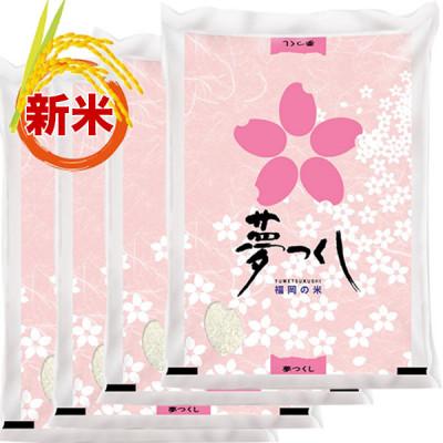 ふるさと納税 宇美町 【令和7年産】福岡県産ブランド米「夢つくし」白米　計20kg(宇美町)
