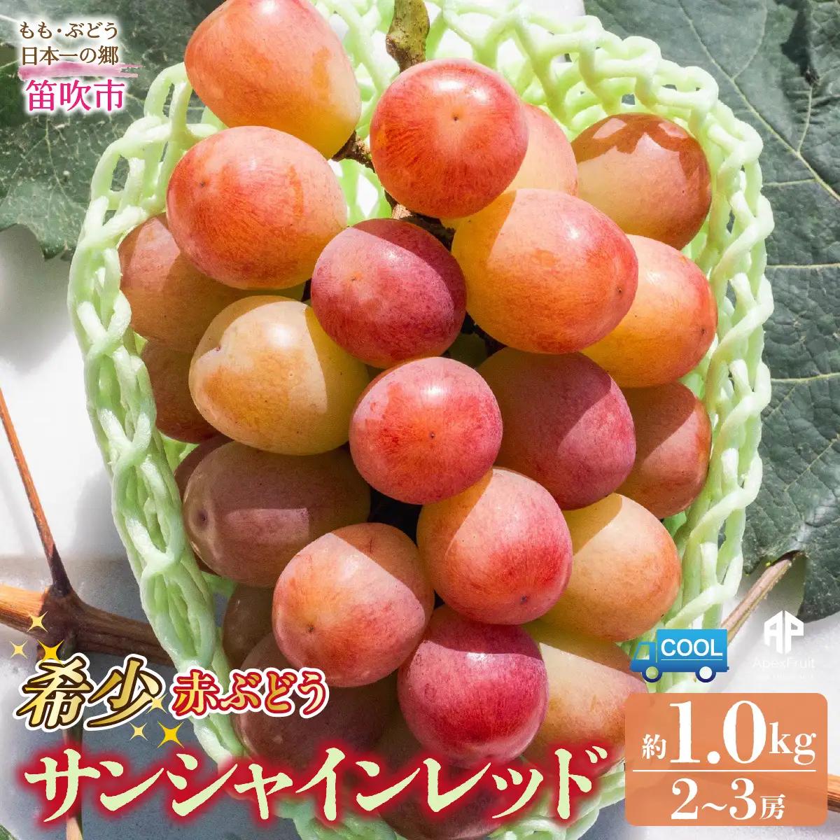 【2026年発送先行予約】笛吹市産　サンシャインレッド約1.0kg（２～3房） 205-015-26y