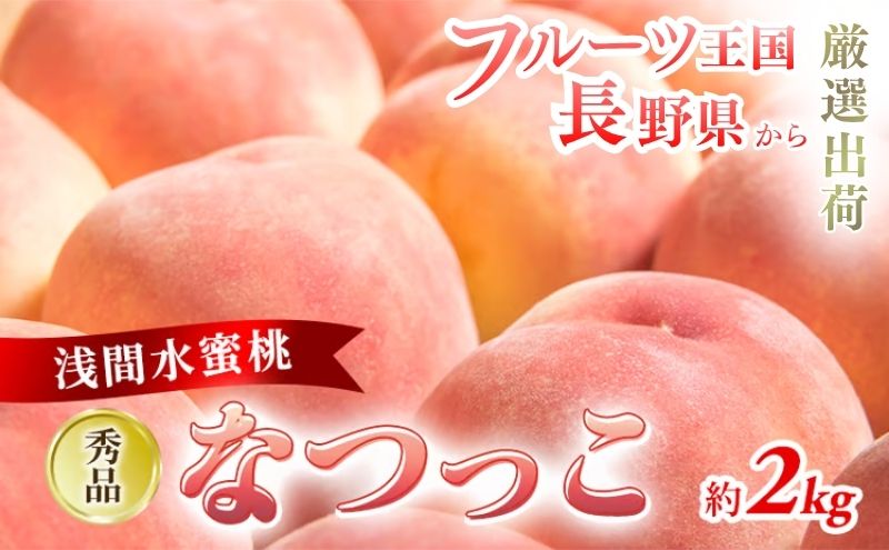 2026年発送 先行予約 「浅間水蜜桃プレミアム」 もも なつっこ 秀品 約2kg 5～9玉 ふるさと納税 果物 桃 フルーツ モモ 果肉  長野県産 小諸市 