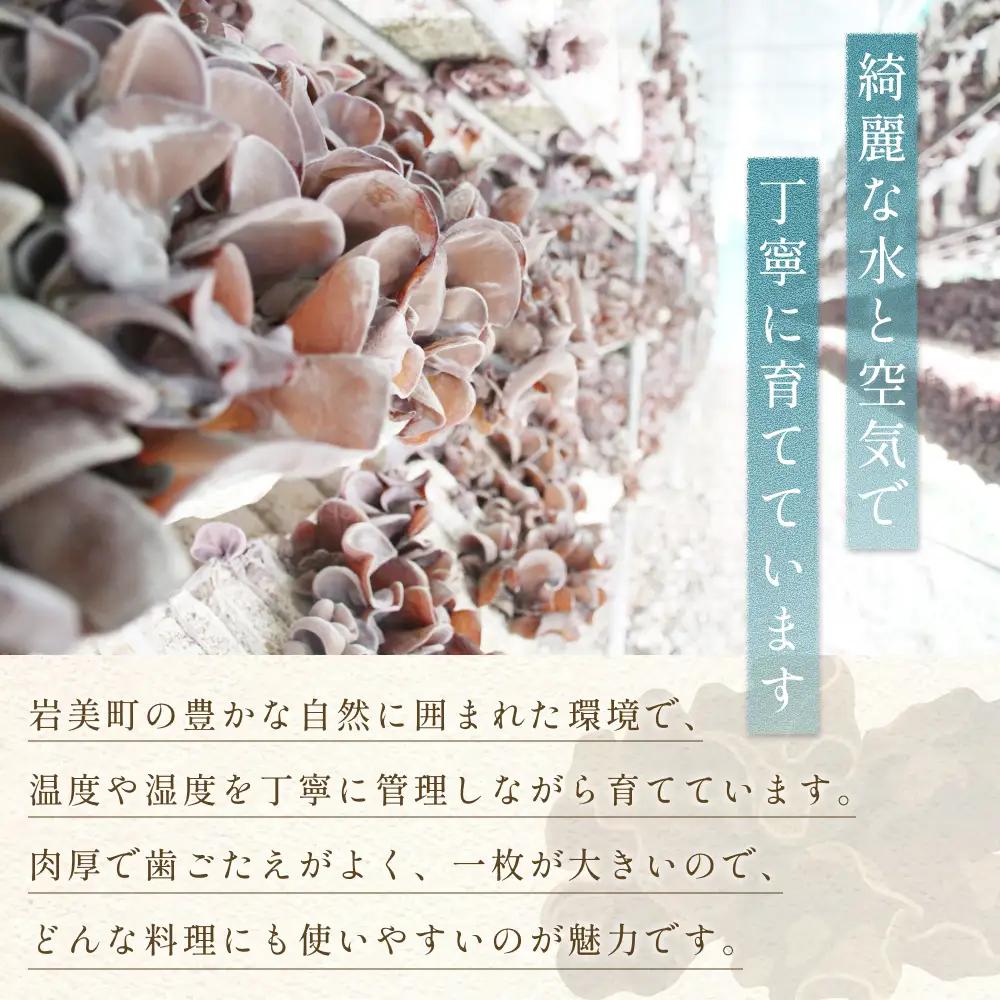 乾燥きくらげ 80g 6袋｜鳥取 岩美 きのこ 菌床栽培 きくらげ 乾燥【35005】