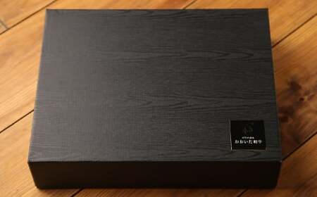 おおいた和牛特製ハンバーグ170g×10個(計1700g)【匠牧場】<102-031_5>