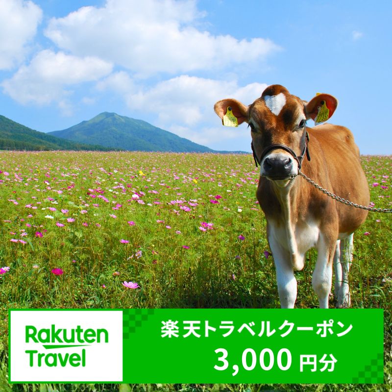 【ふるさと納税】 岡山県真庭市の対象施設で使える楽天トラベルクーポン 寄付額10,000円