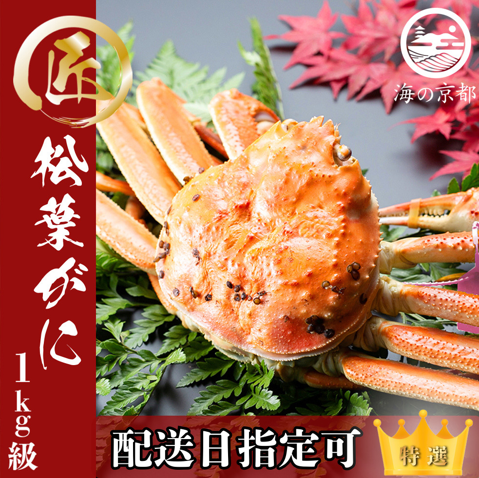 【配送日指定可】茹で松葉蟹 特大1杯 1,000g級 蟹 カニ かに 松葉蟹 松葉ガニ ズワイガニ 海鮮 ボイル myz05 myz11 myz16