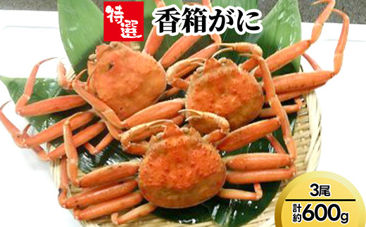 
                  【特選】香箱がに3尾（計約600g） ※2026年11月～発送
                