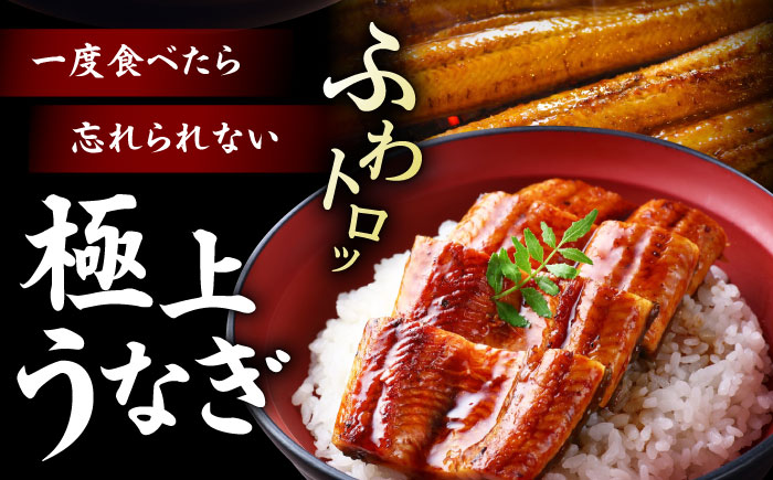 【全12回定期便】 うなぎ 蒲焼き 冷蔵 真空パック 6尾セット（2尾×3箱）　愛媛県大洲市/有限会社 樽井旅館 鰻 うなぎ ひつまぶし 土用の丑の日 ウナギ [AGAH023]