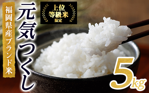 ＜先行予約受付中！2025年10月に順次発送予定・数量限定＞JAよりお届け！福岡県産米 元気つくし (計5kg)お米 おこめ 米 こめ コメ 白米 福岡県産 ブランド米 常温 常温保存【農産物直売所ほたるの里】【ksg1813】