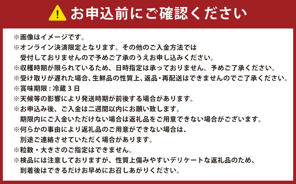 【3回定期便】寒蜜いちご 紅ほっぺ  4パック×3回 ｜ いちご 苺 紅ほっぺ 果物 くだもの フルーツ  静岡県 菊川市 