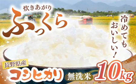 長野県産 コシヒカリ 10kg（無洗米） | 大北農業協同組合