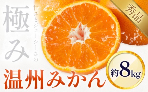 温州みかん 8㎏ 日本フルーツ株式会社 《10月中旬-2月中旬頃出荷予定》 熊本県 長洲町  果物 秀品 フルーツ スイーツ デザート ギフト ご贈答