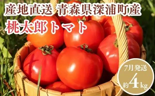 【7月発送】青森県産 桃太郎 トマト 約4kg 20玉前後 大玉 tomato 新鮮 野菜 旬 甘い 完熟  産地直送 農家直送[fu-0022-002-07]