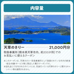 S777-007_天草市満喫クーポン 21,000円分