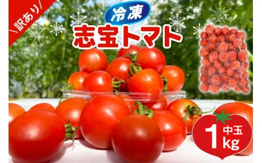 訳あり 野菜 トマト 冷凍志宝トマト（シンディスイート）中玉 1kg [モアショップヤマモト 石川県 宝達志水町 38601219] とまと 中玉 不揃い 規格外 1キロ わけあり 訳アリ 家庭用 やさい tomato