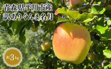 10月下旬～発送　 訳あり ぐんま名月約3kg(家庭用)【なるみ農園・青森りんご・平川市産・数量限定】