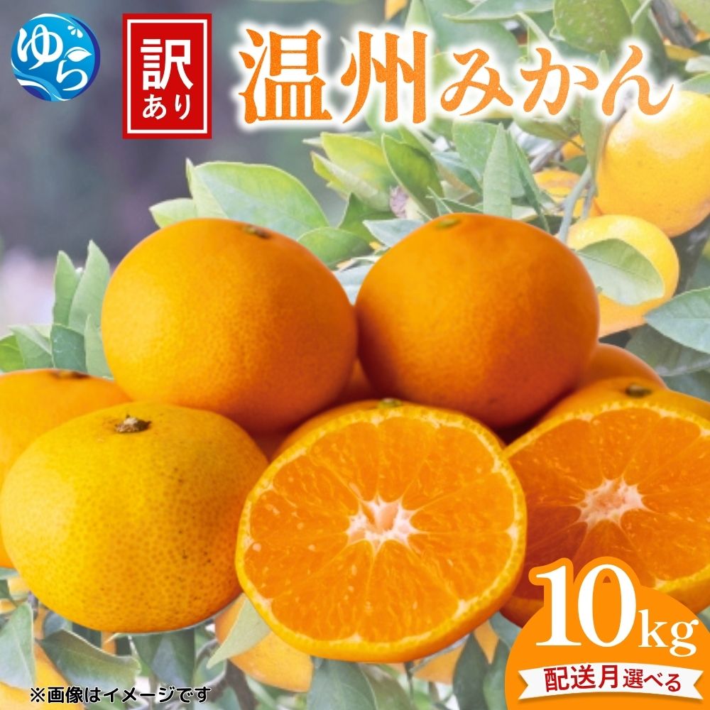 【ふるさと納税】先行予約 ≪訳あり≫ 温州みかん 10kg 【配送月選べる】/ みかん ミカン 和歌山県 柑橘 甘い 蜜柑 フルーツ 果物 くだもの 食品 産地直送 由良町 ご家庭用 温州 温州ミカン わけあり 訳アリ