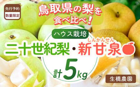数量限定の先行予約品！お早めにご寄付ください。 【先行予約・数量限定】ハウス新甘泉とハウス二十世紀梨の食べ比べセット 鳥取県産 5kg 令和6年産 （生橋農園）梨 鳥取 5kg 果物 フルーツ 和梨 先行予約 数量限定 詰め合わせ 二十世紀梨 新甘泉 セット 食べ比べ 20世紀梨 お得 人気