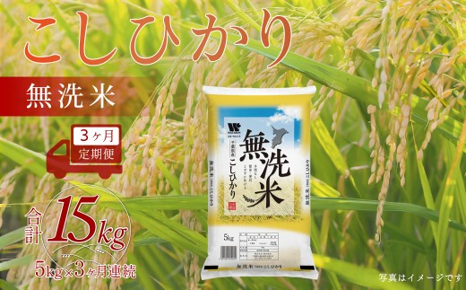 ＜3ヶ月定期便＞ 令和7年産 千葉県産「コシヒカリ」無洗米 5kg×3ヶ月連続 計15kg　 ふるさと納税 米 無洗米 コシヒカリ こしひかり 千葉県 大網白里市 A058