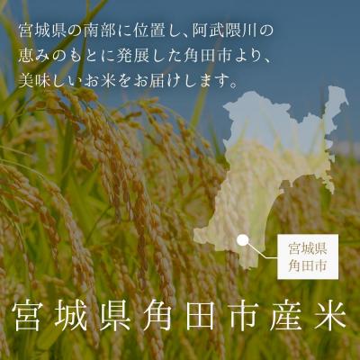 ふるさと納税 角田市 【2026年分先行予約】宮城県角田市産米【令和8年産】つや姫 10kg(5kg×2) |  | 01