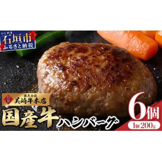 美崎牛ハンバーグ200g×6個　O-5