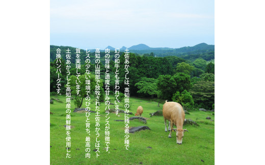 《6か月定期便》人気惣菜 数量限定 牛肉 豚肉 創業50年老舗レストランの幻の和牛あかうしハンバーグ130g×4コ＋特製デミソース×1袋、特製トマトソース×1袋 焼くだけ 溢れる肉汁 土佐あか牛 ハン