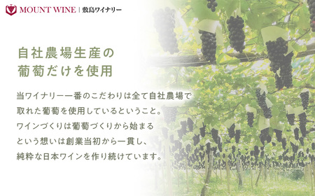 【敷島 赤 ＆ 敷島 白 & 甲州小梅ワイン】720ml × 3本 セット 敷島醸造 白ワイン 赤ワイン わいん 小梅ワイン 辛口 ワインセット 飲み比べ 日本ワイン 国産ワイン 甲州 山梨 甲斐市 