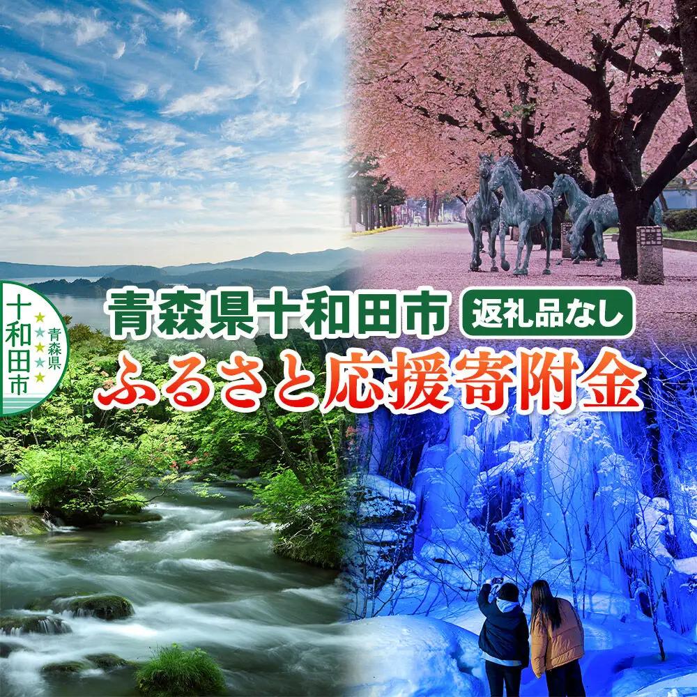 【返礼品なし】青森県十和田市 ふるさと応援寄附金【1,000円】