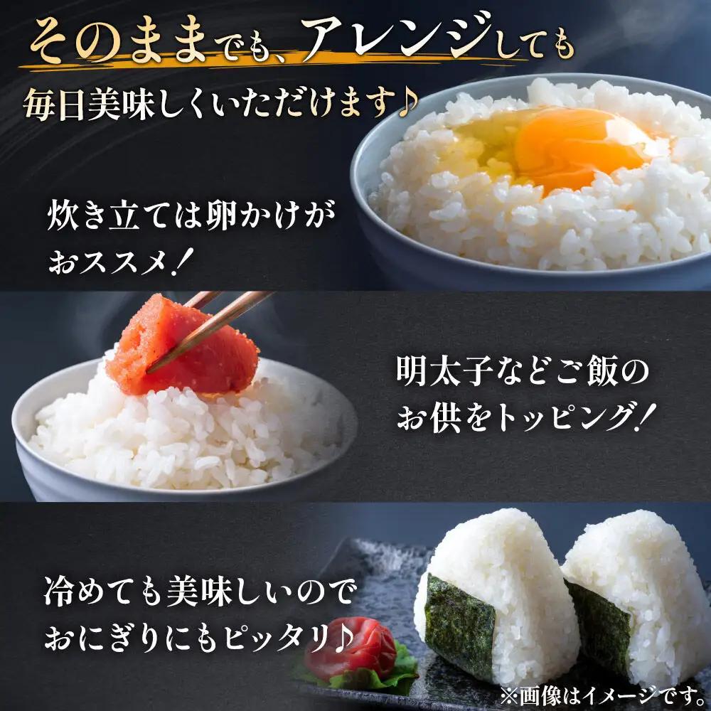 【白米】《定期便》 10kg (5kg袋小分け) ×8回 令和7年産 ひとめぼれ 土作り実証米 合計80kg 秋田県産