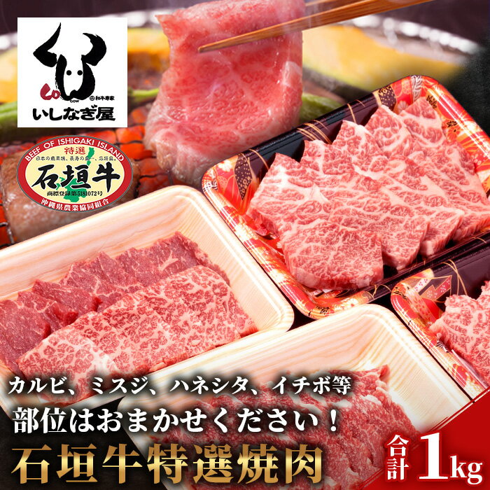 【ふるさと納税】高級 黒毛和牛 石垣牛 特選 焼肉 セット 部位 おまかせ 計1kg ｜ ふるさと納税 和牛 黒毛和牛 石垣牛 国産 牛肉 ブランド牛 焼き肉 冷凍 産地直送 沖縄県 石垣市 人気 送料無料 AB-17