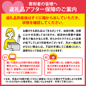 白桃＆黄桃 詰め合わせ (品種おまかせ) 5kg (12～20玉) 東根農産センター提供