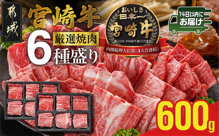 宮崎牛6種盛り焼肉食べ比べ600g≪みやこんじょ快速便≫_AC-N201-R_(都城市) 宮崎県産宮崎牛 サーロイン リブ ウデ モモ バラ 肩ロース