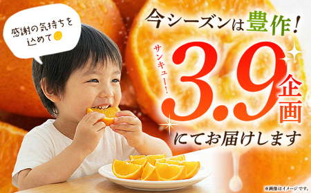 ＜愛媛県西予市産 甘平 家庭用 豊作 サンキューパック 合計約4.9kg（3.9kg＋1kg）＞ 訳あり ワケアリ 大粒果肉 柑橘 果物 フルーツ くだもの みかん ミカン 国産 サイズ不揃い 傷あり