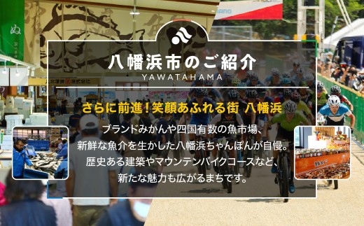 【先行受付】柑橘の鬼たちがつくる八幡浜産・甘平(2.7kg～3.0kg)＜訳あり＞＜D56-49＞_ 訳あり わけあり 柑橘 甘平 かんぺい フルーツ くだもの 果物 青果 ふるーつ 甘い 常温 産直