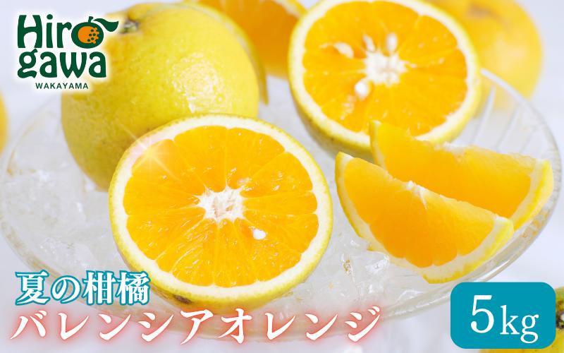 
            バレンシアオレンジ 家庭用 5kg+250g(痛み補償分) / みかん オレンジ 甘い 高級 和歌山 柑橘 ※7月中旬頃〜8月下旬頃 に順次発送 ※北海道・沖縄・離島への配送不可 【ikd027-c-5】
          
