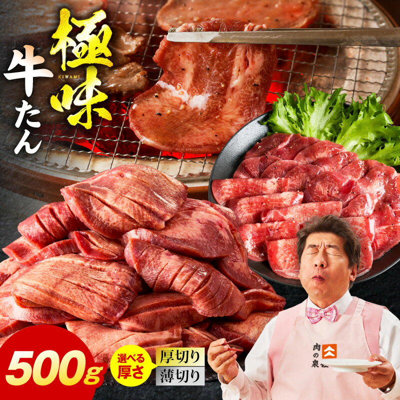 【ふるさと納税】牛タン 500g 厚切り 薄切り スライス 牛ヒレ 小分け 訳あり サイズ不揃い BBQ キャンプ 焼肉用 お肉 冷凍 牛肉 熟成肉 氷温熟成 焼肉 肉の泉佐野 発送月 大阪府 泉佐野市 送料無料