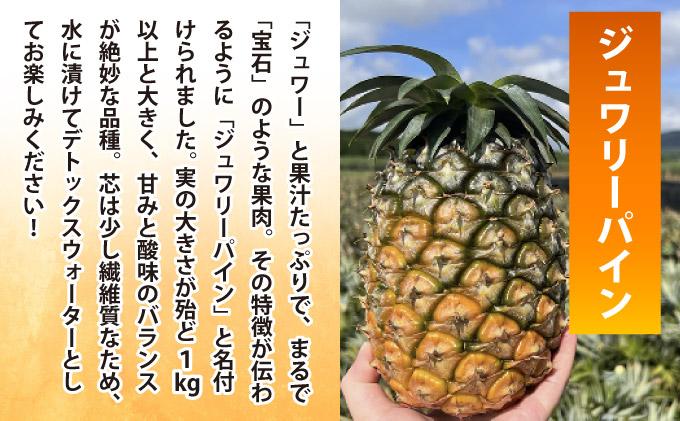 《6月以降発送》袋をあければそこは南国！完熟ジュワリーパインをカットして小分けでお届け！ 100g×6パック  TF-105 冷凍カットパイン（ジュワリーパイン）100g×6袋 | 沖縄県 石垣市 石