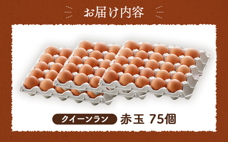 黄身がつかめる新鮮地たまご クイーンラン 赤玉 75個入 No.591