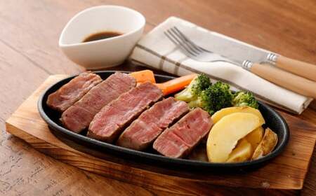 【6か月定期便】 熊本 あか牛 ヒレ肉 約3kg （約150g×15枚～18枚） 合計18kg 赤身 あかうし ステーキ 赤牛 牛肉 牛 ビーフ ヒレ 肉 国産 九州産 熊本県産 冷凍