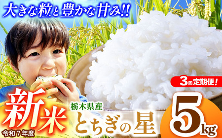 【先行予約】【定期便3回】とちぎの星 5kg | 新米 真岡市産 こしひかり コシヒカリ とちぎの星 銘柄 お米 米 おにぎり おむすび ふるさと納税 先行 予約 栃木県 真岡市 送料無料 [TAE04-teiki3]