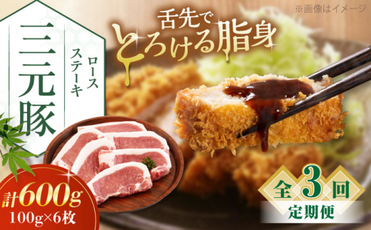 【全3回定期便】平田牧場 ロースステーキ 600g  (100g×6枚) ※藻塩ナシ《喜茂別町》【平田牧場】肉 豚肉 ロース ステーキ ステーキ用 とんかつ生姜焼き 冷蔵配送 北海道 [AJAP087] 39000 39000円